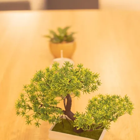 Duplex Cosy 90m2 A 300m Rue Pietonne Et 500 M Du Port Lejlighed *